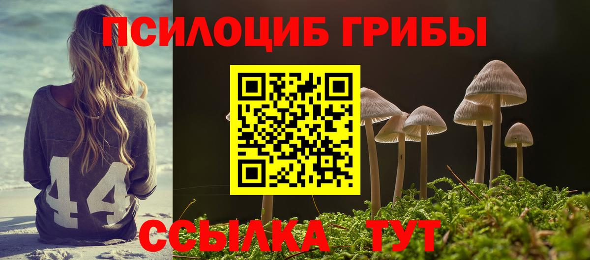 Нижний Тагил  Псилоцибиновые грибы Psilocybe  Вход с VPN  Галлюциногенные грибы мухоморы 