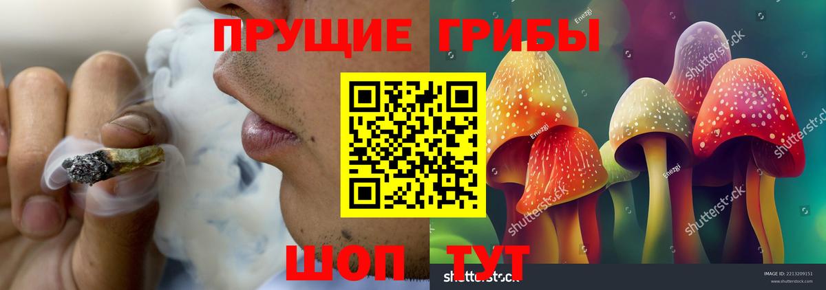 Псилоцибиновые грибы мицелий Нижний Тагил